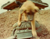 Claymore and dog in Vietnam