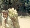 Montagnard boys carrying corn