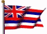 hawaiiWHT_rd33.gif (9293 bytes)