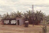 Artillery Hill mess hall, surrounded by banana trees