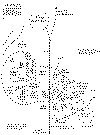 Map of LZ Uplift